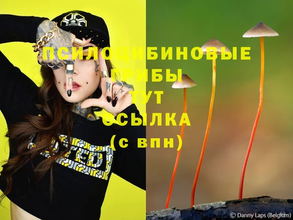 Альфа ПВП Балахна