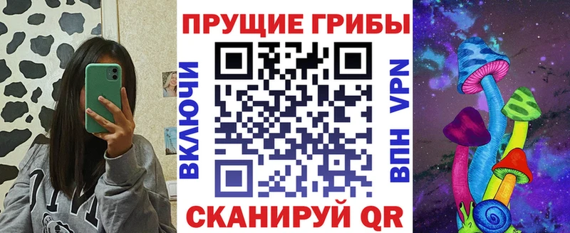 mega tor  Шатура  Галлюциногенные грибы Psilocybe 